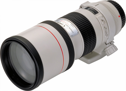 Canon EF 300mm f/4L USM